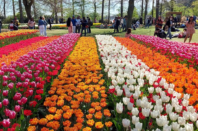 Tulip Mania: Keukenhof , Tulip Farm, and Amsterdam Transfer - What to Expect at Tulip Experience Amsterdam and Keukenhof