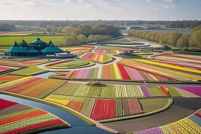 Tulips and Windmills Skip the Line Private Tour from Amsterdam - Discover the Tulips and Windmills Private Tour from Amsterdam