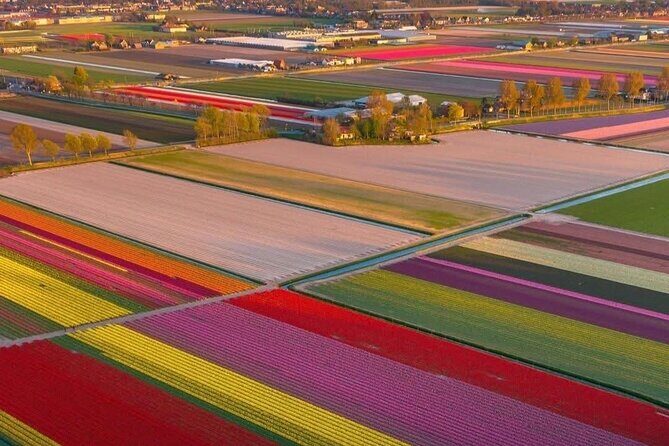 Tulips and Windmills Skip the Line Private Tour from Amsterdam - Authentic Experiences and Practical Details