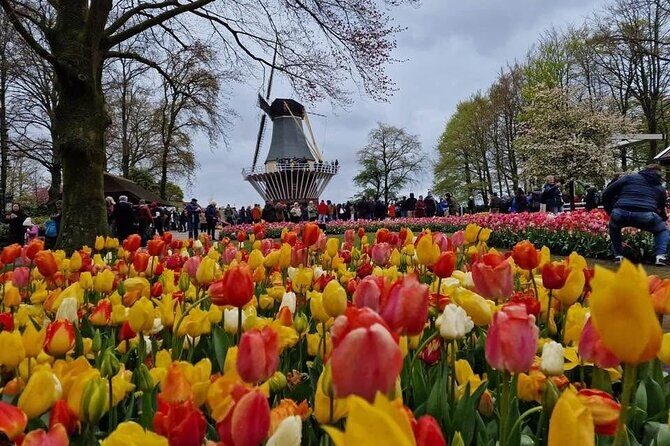 Tulips and Windmills Skip the Line Private Tour from Amsterdam - The Sum Up: Is It Worth It?