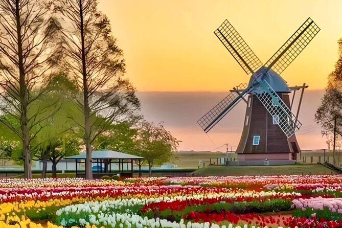 Tulips and Windmills Skip the Line Private Tour from Amsterdam - FAQ