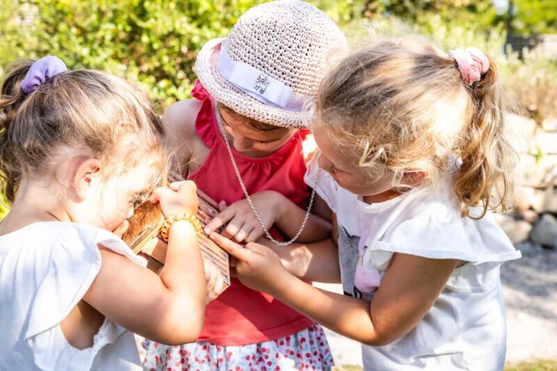 Tulln: DIE GARTEN TULLN Entry Ticket and Audio Guide - Who Will Love This Experience?