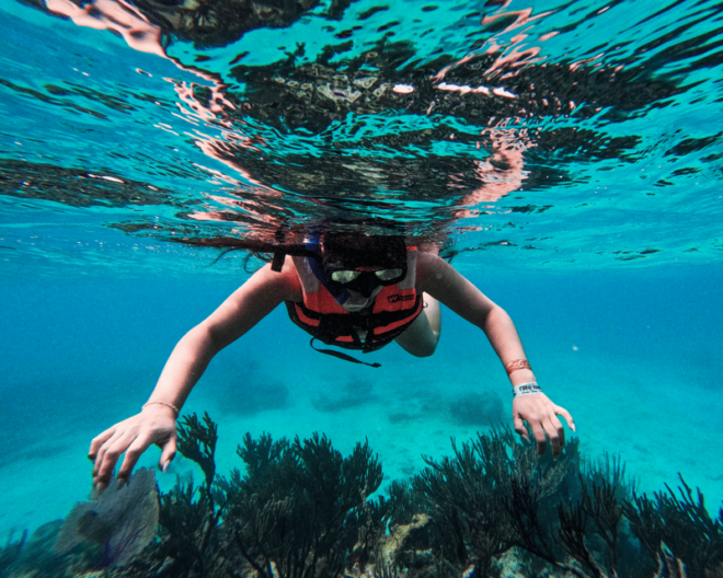 Tulum: 2-Hour Snorkeling in Two Spots of Tulums Reef - Customer Reviews