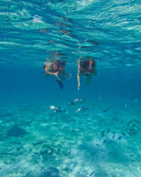 Tulum: 2-Hour Snorkeling in Two Spots of Tulums Reef - Getting to the Starting Location