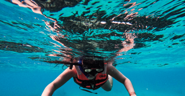 Tulum: 2-Hour Snorkeling in Two Spots of Tulums Reef - Safety Considerations