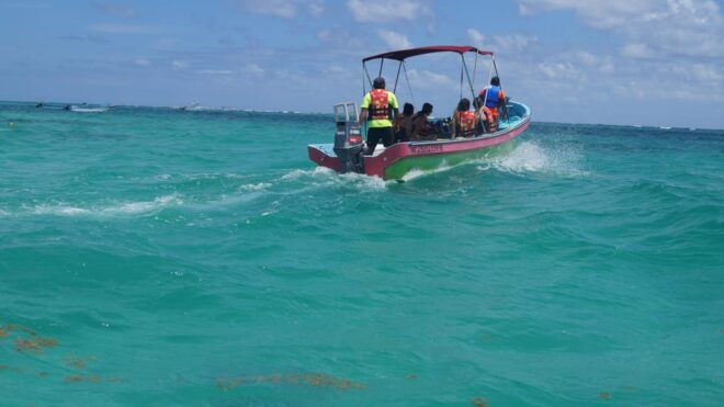 Tulum: 2 Spot Reef Snorkel 1 Hour 30 Minutes - Snorkeling Safety and Precautions