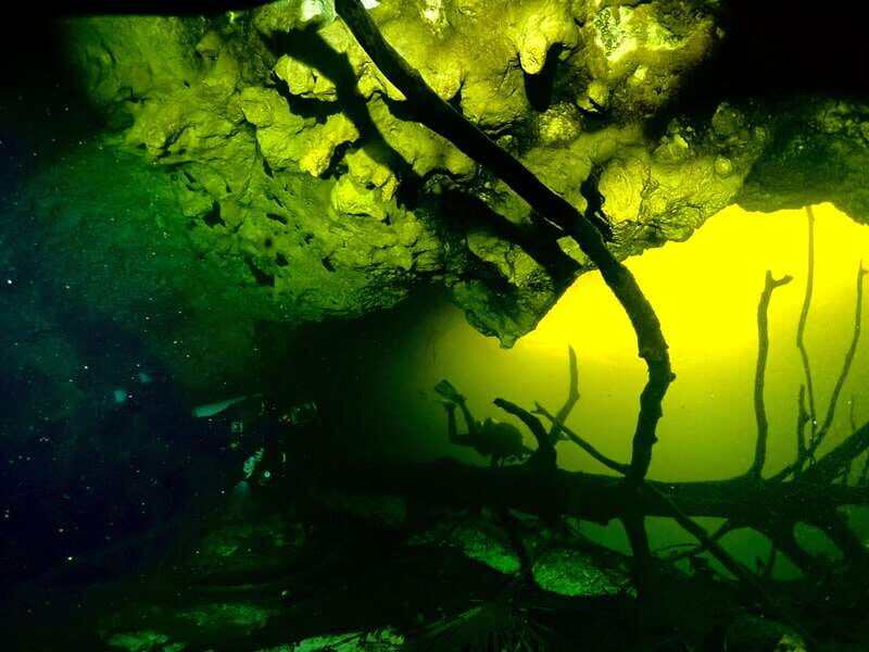 Tulum: 2 Tank Cenote Dive - Why You Should Consider This Tour