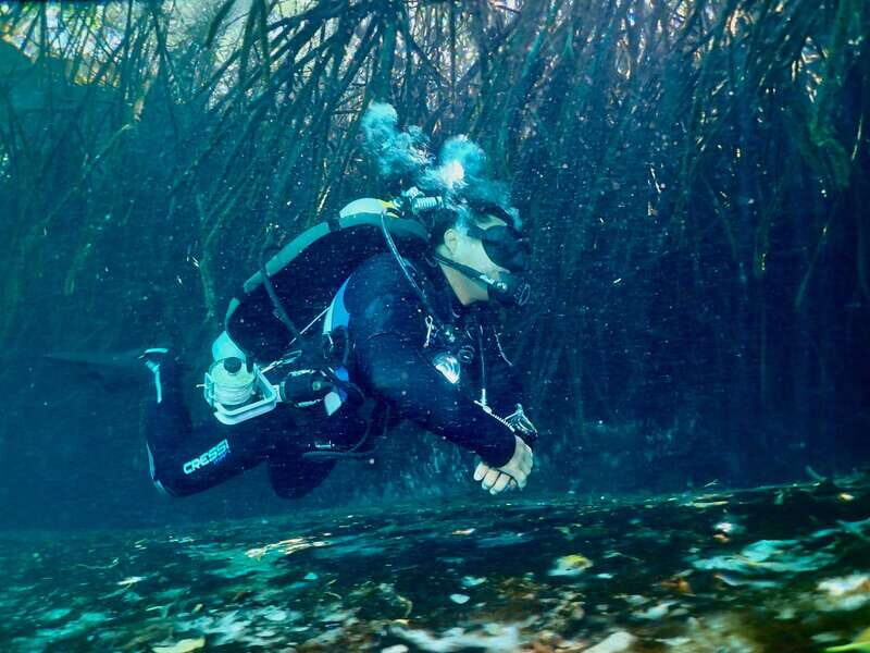 Tulum: 2 Tank Cenote Dive - Who Will Love This Experience?