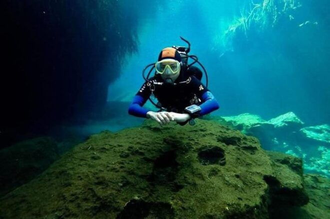 Tulum - 2 Tank Scuba Dive Casa Cenote & Barrier Reef + Lunch - Included in the Package
