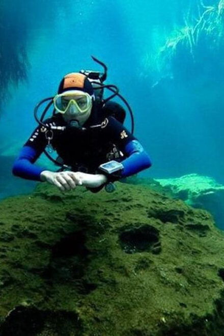 Tulum - 2 Tank Scuba Dive Casa Cenote & Barrier Reef + Lunch - Important Considerations