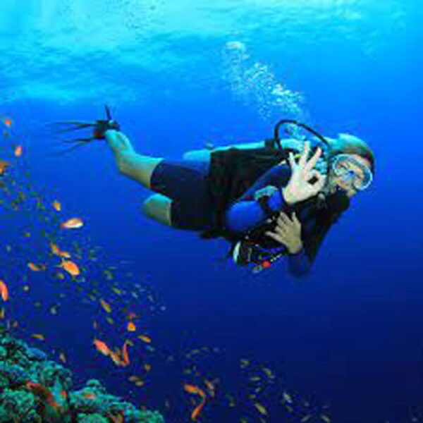 Tulum - 2 Tank Scuba Dive Casa Cenote & Barrier Reef + Lunch - Customer Feedback