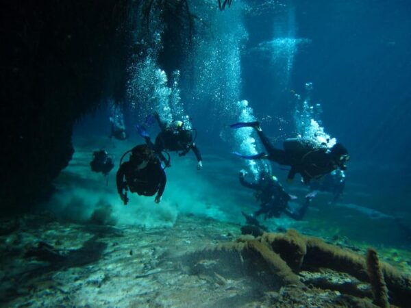Tulum - 2 Tank Scuba Dive Casa Cenote & Barrier Reef + Lunch - Getting to the Starting Location