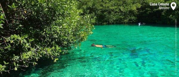 Tulum - 2 Tank Scuba Dive Casa Cenote & Barrier Reef + Lunch - Weather Policy and Cancellations