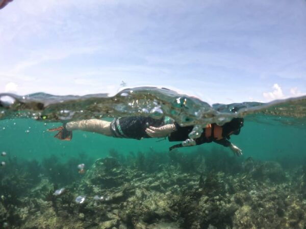 Tulum: 3 Hour Snorkel & Sailing Experience - Frequently Asked Questions