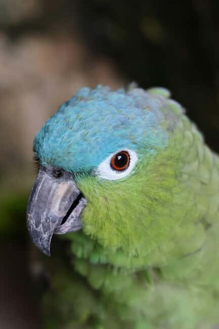 Tulum, 4 Cenotes, Playa del Carmen - Exploring the Cancun Day Tour: An All-in-One Adventure