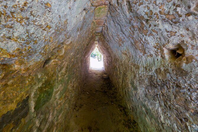 TULUM 4x1: Archaeological Zone, COBA, Cenote, 5th Avenue and lunch. - Who Should Consider This Tour?