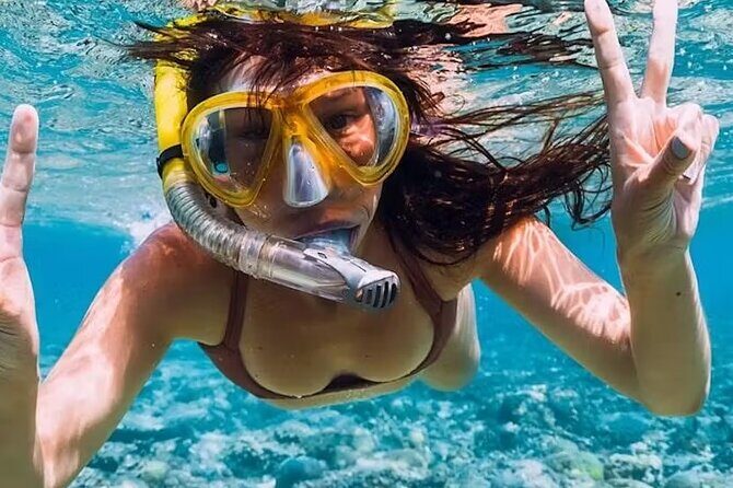 Tulum Adventure Combo: Mayan Ruins and Reef Snorkeling - Who Will Love This Tour?