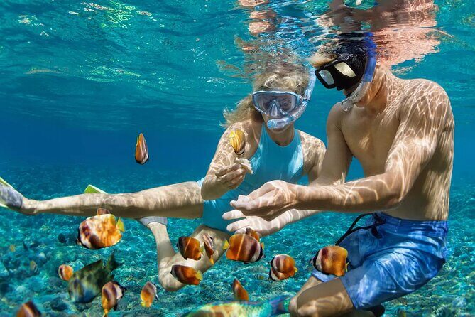 Tulum Adventure Combo: Mayan Ruins and Reef Snorkeling - FAQs