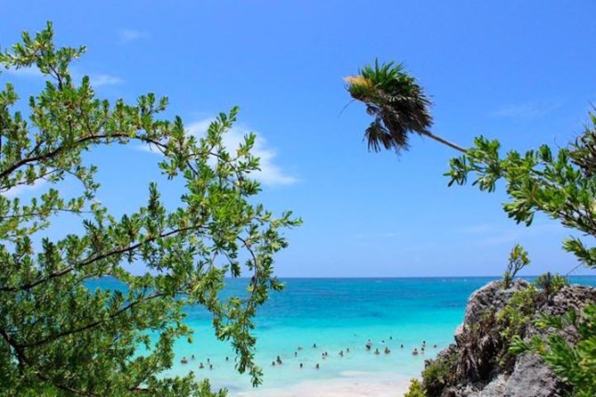 Tulum Afternoon Tour From Cancun and Riviera Maya With Pickup  - Playa Del Carmen - Contact Information