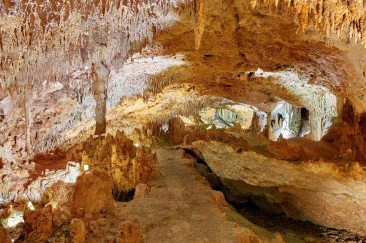 Tulum: Akumal Turtles and Underground Cenote Swim Tour - Tour Details