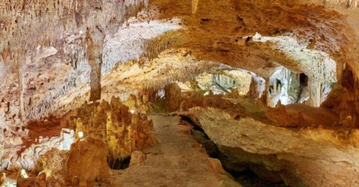 Tulum: Akumal Turtles and Underground Cenote Swim Tour - Experience Highlights