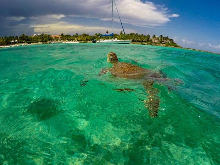 Tulum: Akumal Turtles,Tulum Ruins & Tankah Park Private Tour - Booking Details