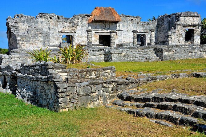 Tulum and 2 Cenotes Half Day Tour From Riviera - The Sum Up