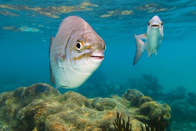 Tulum and Akumal From Cancun - Ancient Mayan Ruins