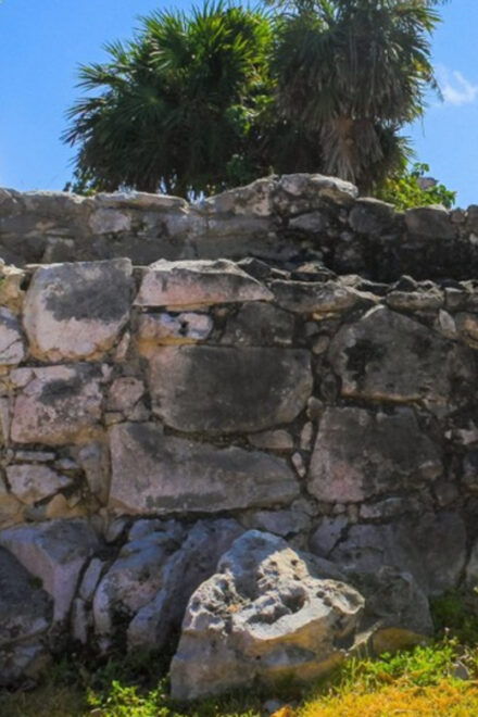 Tulum and Coba Cenote Plus - Cenote Experience
