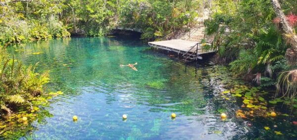 Tulum and Coba Cenote Plus - Safety and Accessibility