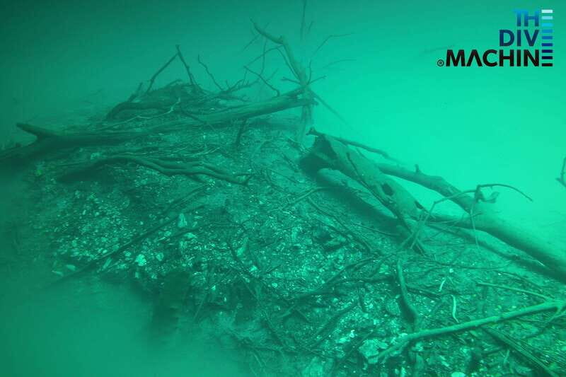 Tulum: Angelita & Carwash Cenotes Dive - Tulum: Angelita & Carwash Cenotes Dive – An Authentic Underwater Adventure in Quintana Roo