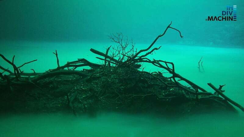 Tulum: Angelita & Carwash Cenotes Dive - Good To Know