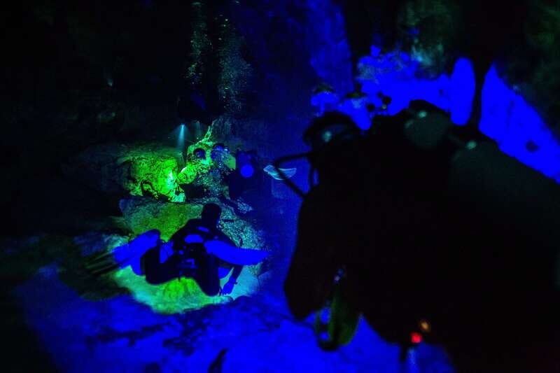 Tulum: Angelita & Carwash Cenotes Dive - Why This Tour Works Well