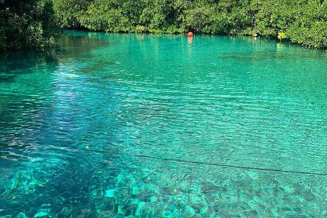 Tulum Area Experiences 2 Tank Guided Scuba Dives at Dos Ojos Cenote's + Lunch - A Closer Look at the Itinerary and Experience