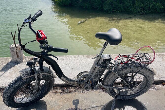 Tulum Area Experiences E-Bike Daily Rental - Discover Tulum at Your Own Pace with the E-Bike Daily Rental