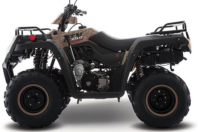 Tulum Area Experiences Guided ATV Tour to 3 Cenotes, Snorkel/Swim & Local Lunch - Logistics and Transportation
