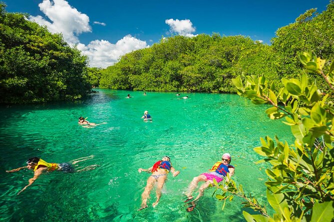 Tulum Area Experiences Guided Snorkeling Tour - Casa Cenote Ocean Reef & Lunch - Tour Details