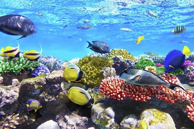 Tulum Area Experiences "Try" Scuba Diving at Casa Cenote - Meeting and Pickup Points