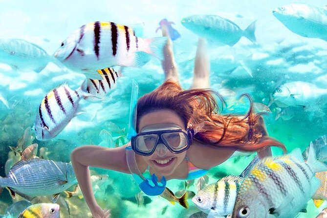 Tulum Area Experiences "Try" Scuba Diving at Casa Cenote - Tour Details