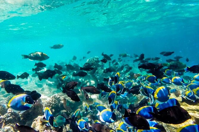 Tulum Area Experiences "Try" Scuba Diving at Casa Cenote - Common Questions