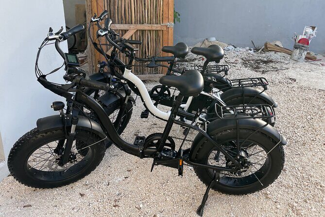 Tulum Area Guided E-Bike + Snorkeling Jungle Tour - Dos Ojos & 2 Cenotes + Lunch - Who Should Consider This Tour?