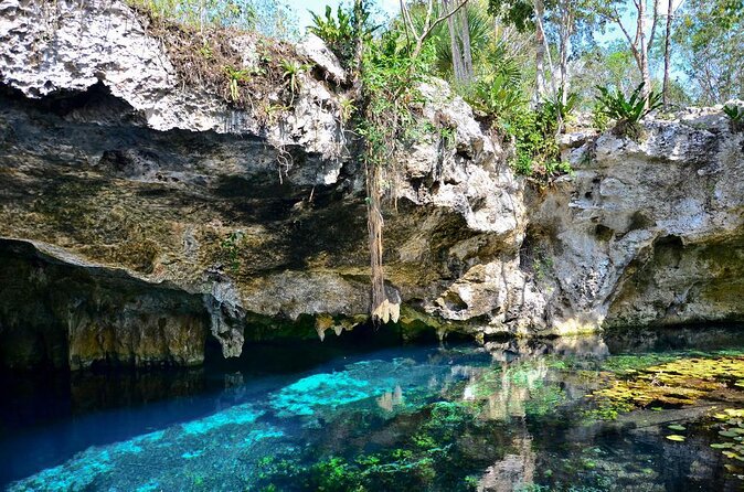 Tulum Area Guided Scooter Tour to 3 Cenotes, Snorkel/Swim & Local Lunch - Logistics and Important Information