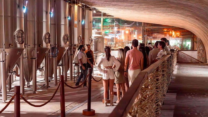 Tulum Beer Tasting Brewery Tour Beer School & Transportation - An In-Depth Look at the Tulum Beer Tasting & Brewery Tour