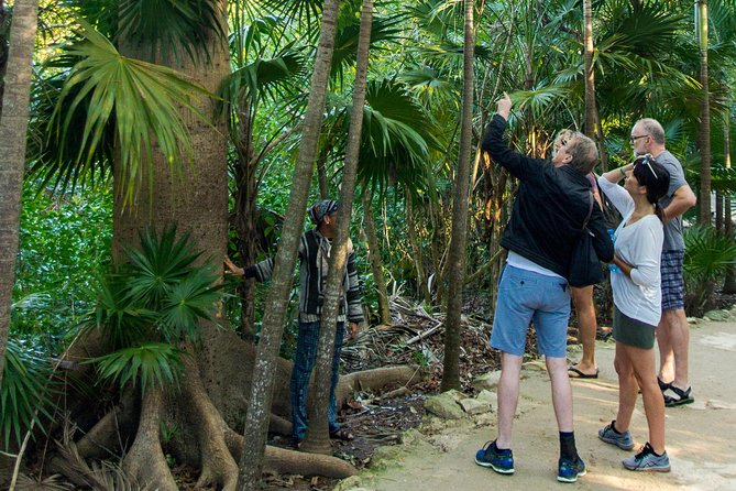Tulum Bike Tour Tulum Maya Ruins Cenote Swimming Pueblo History Art Tacos Lunch - Discovering Vibrant Art in Tulums Pueblo