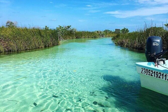 Tulum Boat Tour Sian kan muyil - Overview of the Tour Experience