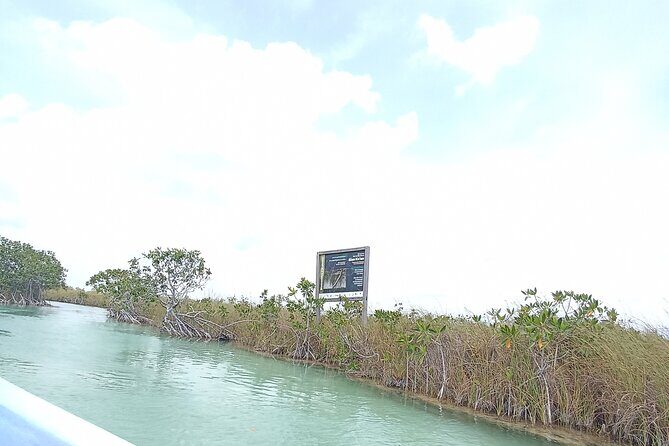 Tulum Boat Tour Sian kan muyil - Who Will Love This Tour?