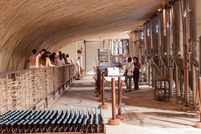 Tulum Brewery Tour and Brews & Bites - Taste the Difference