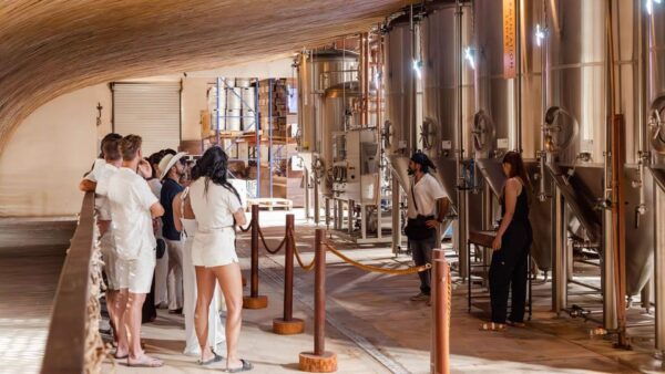 Tulum Brewery Tour and Brews & Bites - Meeting Location and Logistics