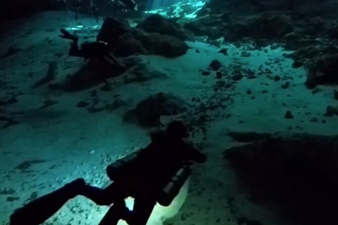 Tulum Cenote Dive Two Eyes Experience - Cenote Entrance Fee and Location