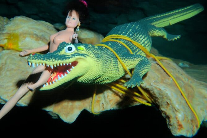 Tulum Cenote Dive Two Eyes Experience - What to Expect During the Dive Experience